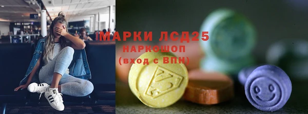 трава Наволоки