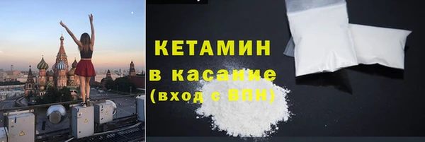 трава Наволоки